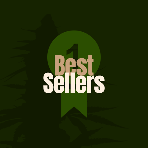 Best Sellers